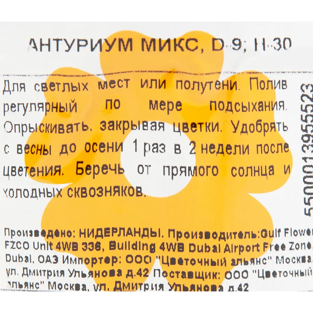 Антуриум микс 9x30 см 82850407 STLM-2195652 Santreyd  - Вид №2