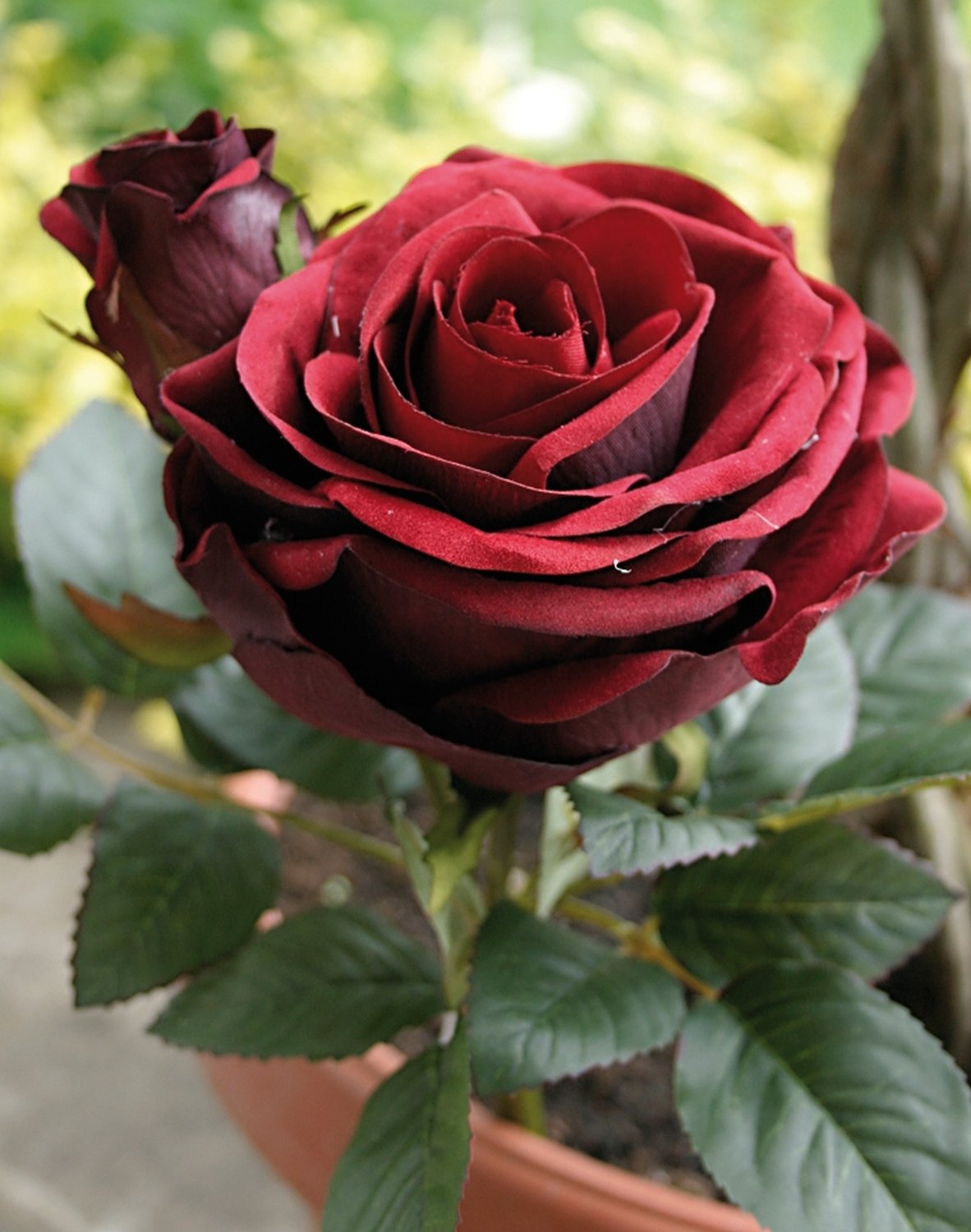 9815 442 a3 Искусственная роза, бархат, 1 цветок, 1 бутон, 23 см, бордовый H-andreas  - Вид №1