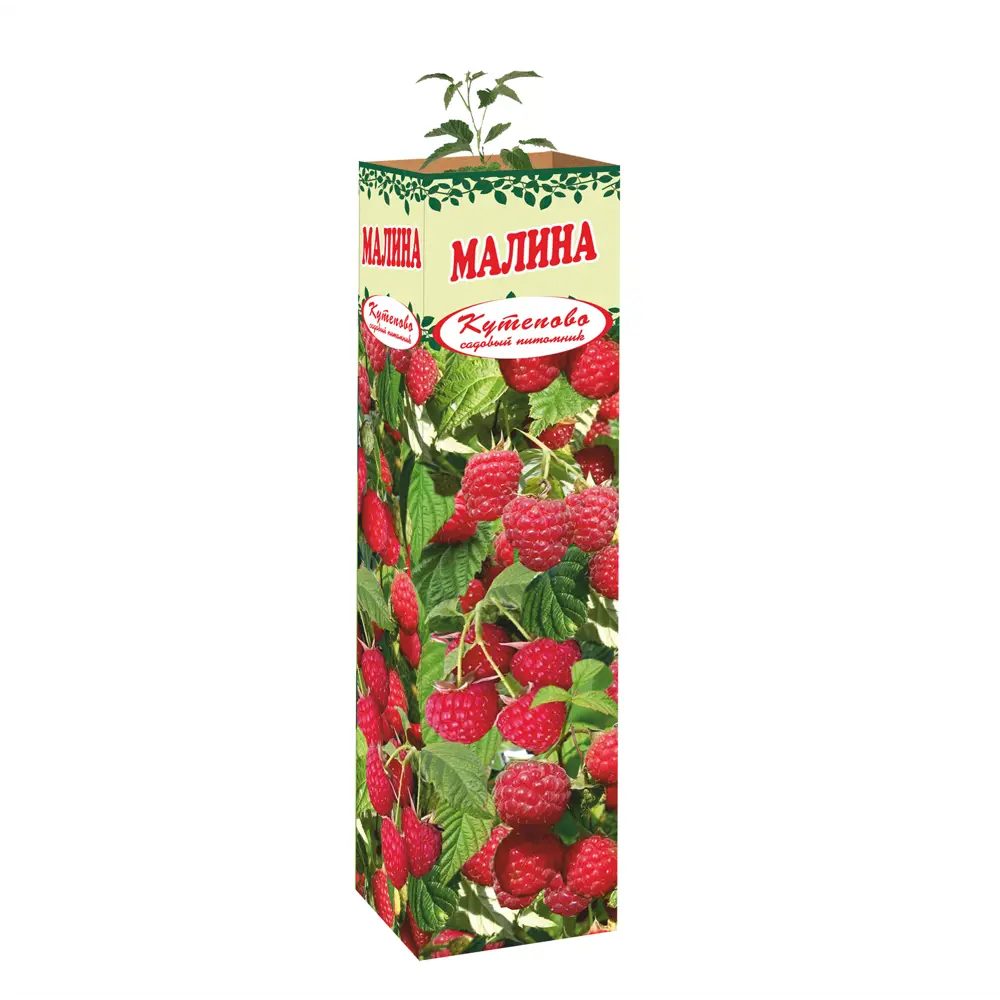 Малина Вольница в тубе 82559186 STLM-2045617 Santreyd 