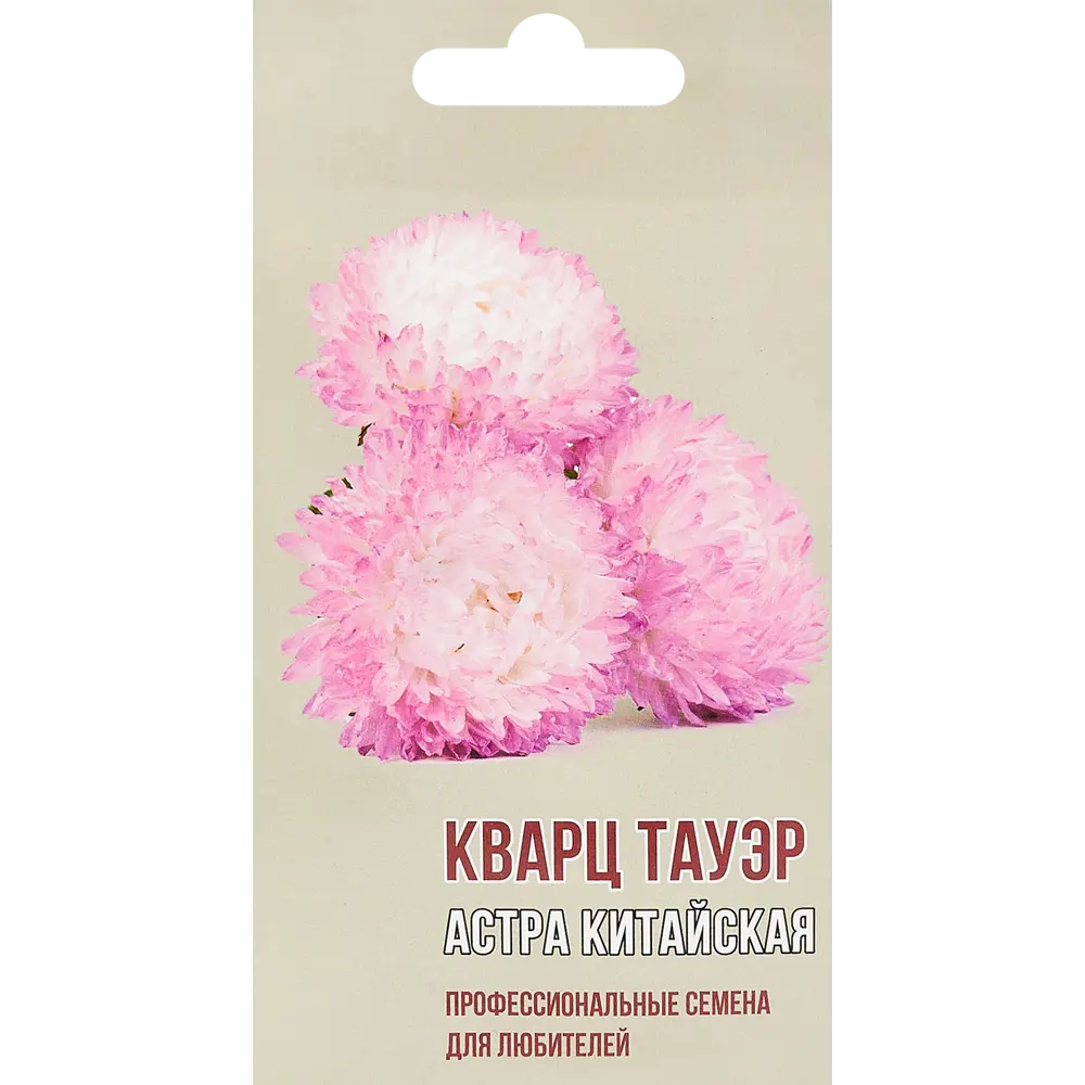 Астра китайская Кварц тауэр AGRONI STLM-2185134