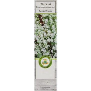 Сакура (Вишня декоративная) в ассортименте 17503392 STLM-2006464