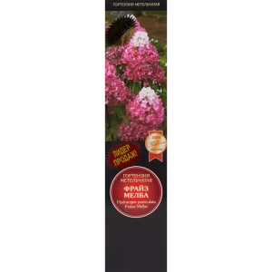 Гортензия метельчатая Фрайз Мелба 82527741 STLM-2158930
