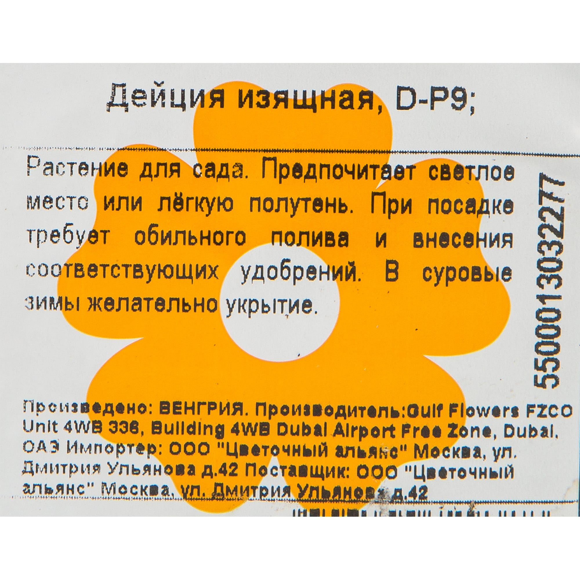 82176162 Дейция изящная P9 Santreyd  - Вид №2