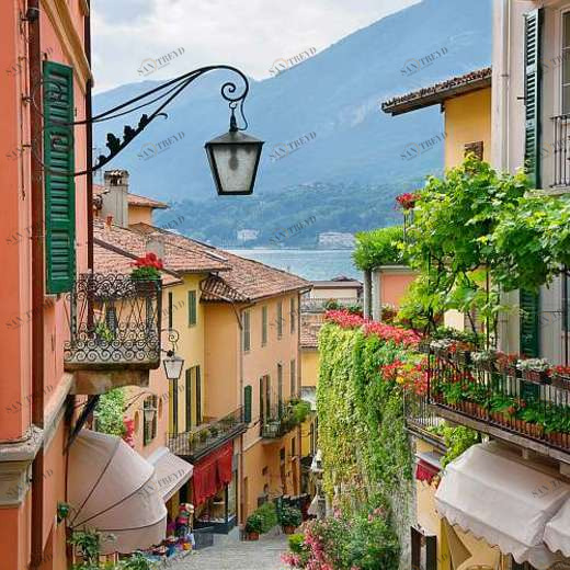 P-042 Фотообои DIVINO L&P 2х2.7 м P042