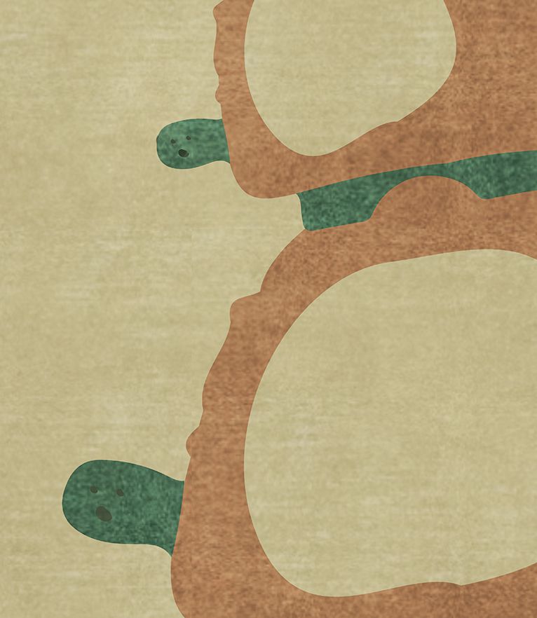 Раковина черепахи RUG'SOCIETY Kids 305_988 - Вид №1