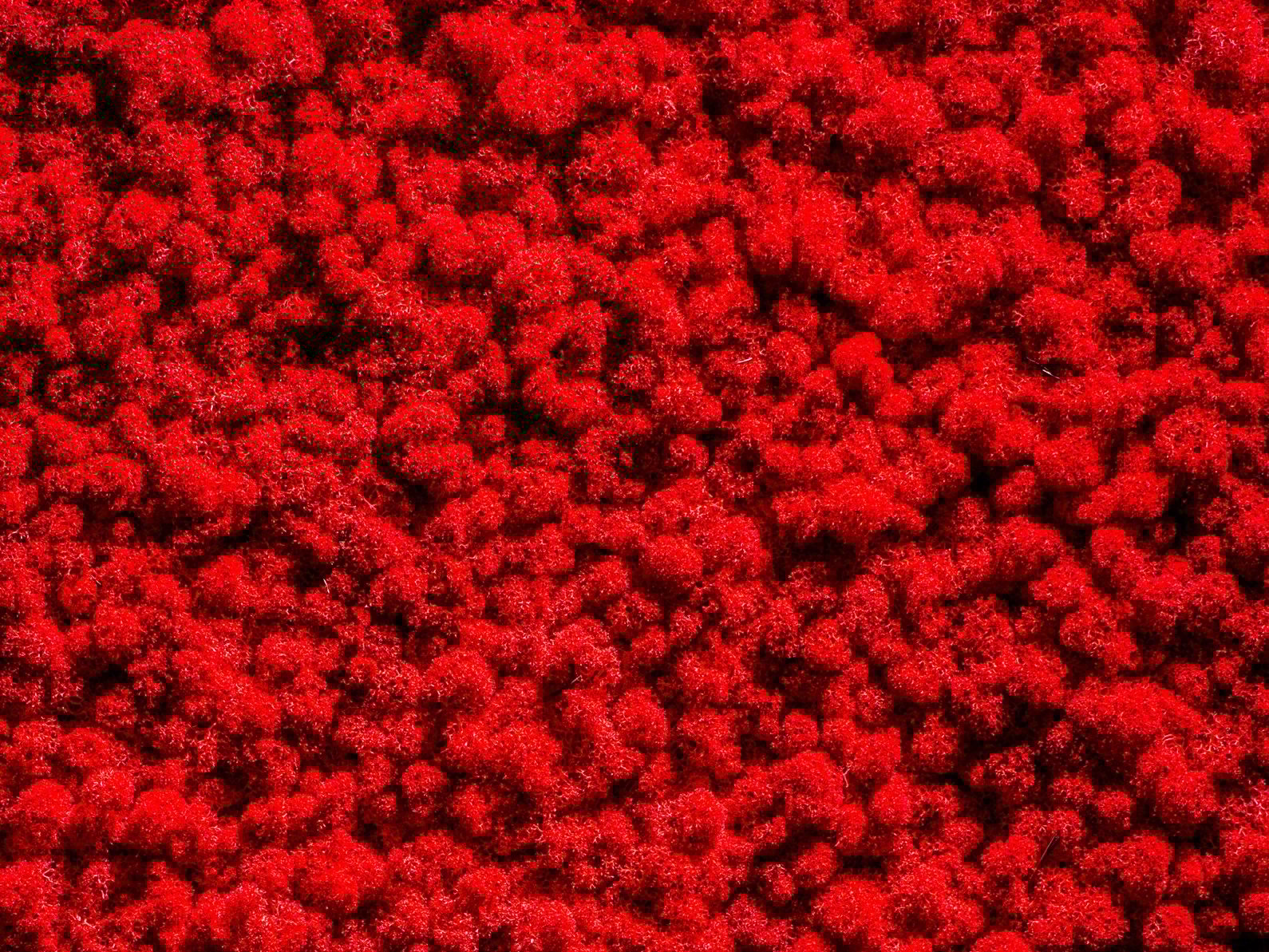 Растительная картина из мха Freund GmbH ARCH-00015463 - Вид №7