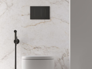 Латунная панель управления туалетом