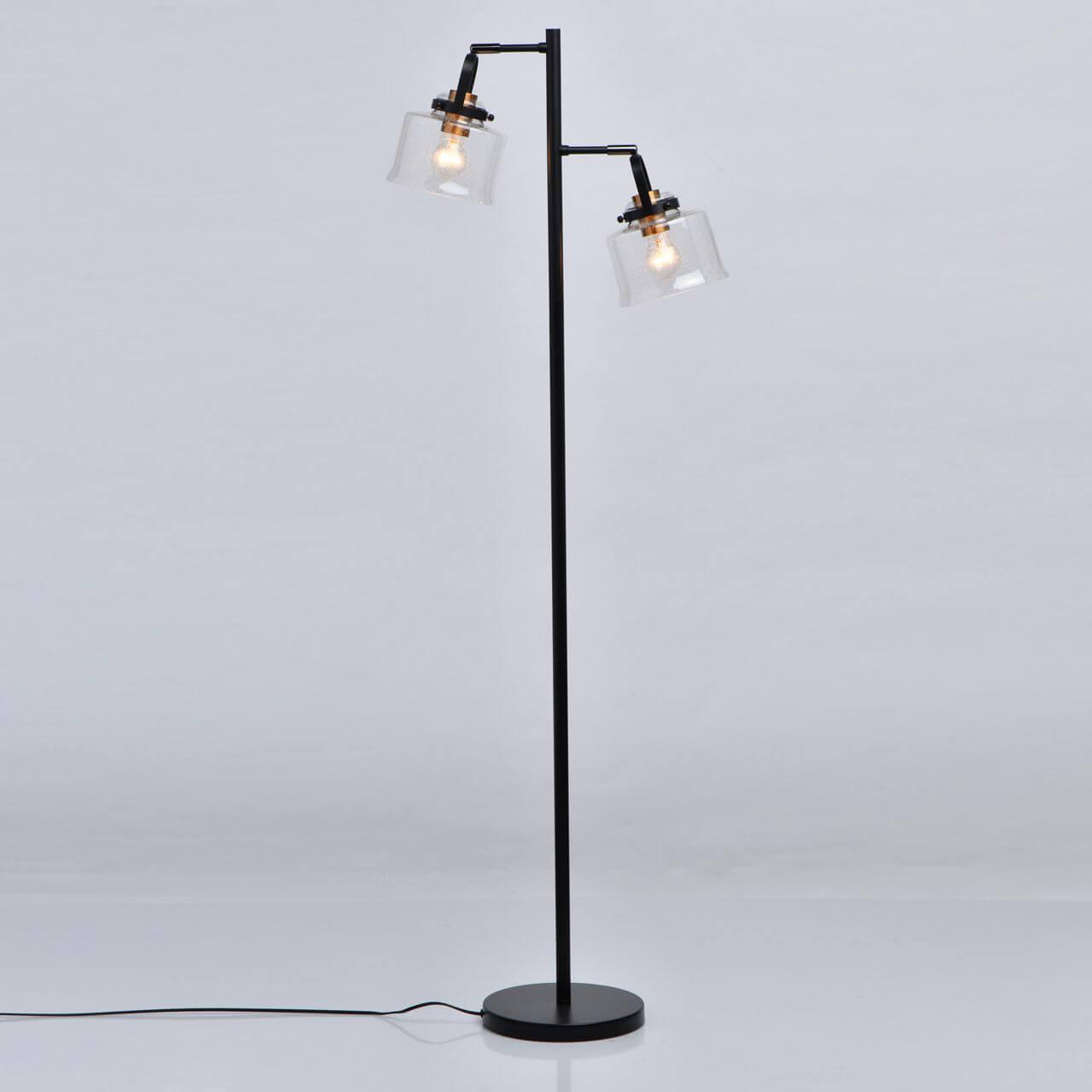 Торшер со стеклянным плафоном на 2 лампы черный "Вальтер" 551042502 DE MARKT ВАЛЬТЕР 00-3948883 Черный  - Вид №3