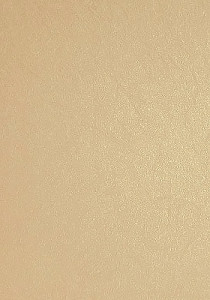 Панель ПВХ Шелк бежевый Ламинированная панель  250мм