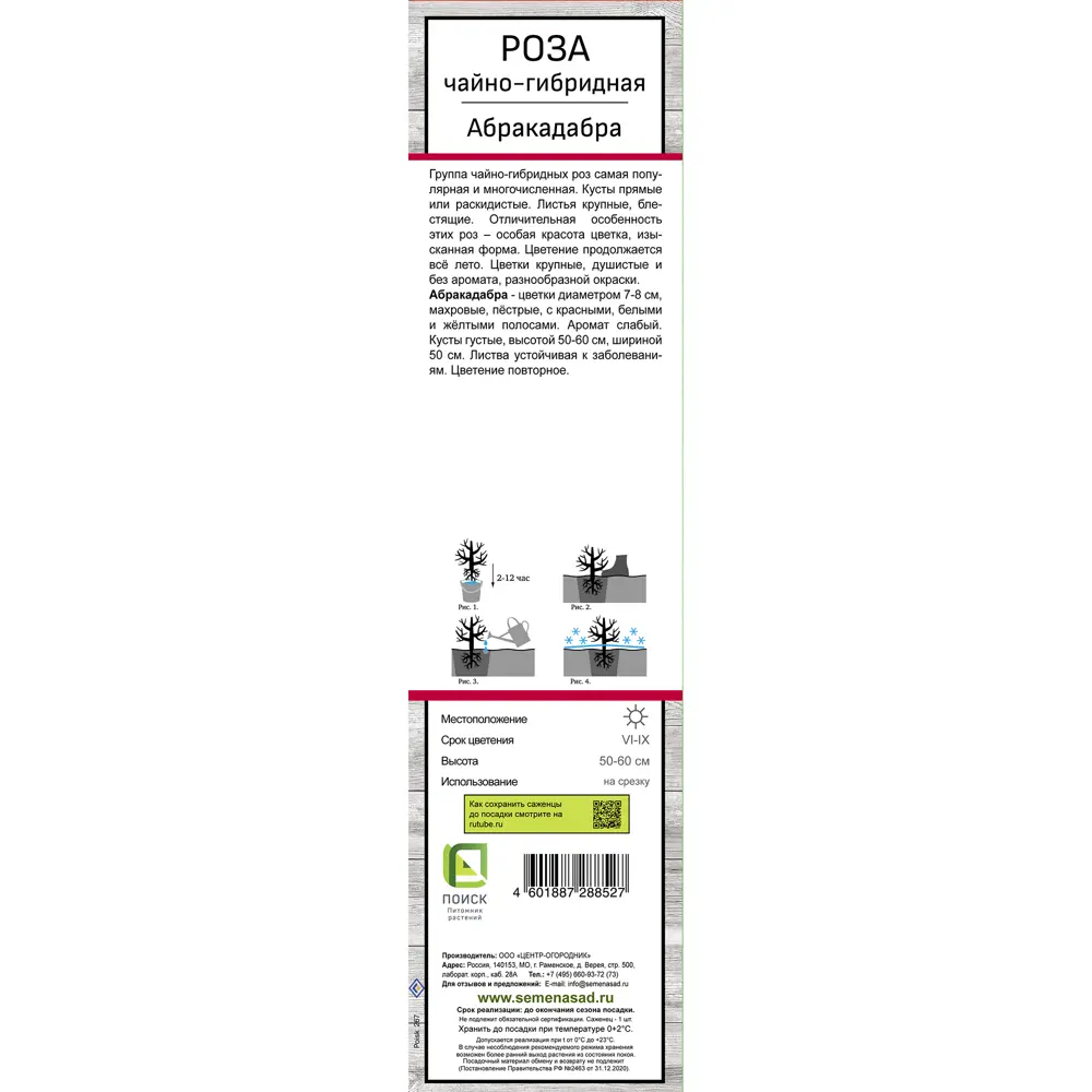 Роза чайно-гибридная Абракадабра h70 см 83786555 STLM-2147701 Santreyd  - Вид №2