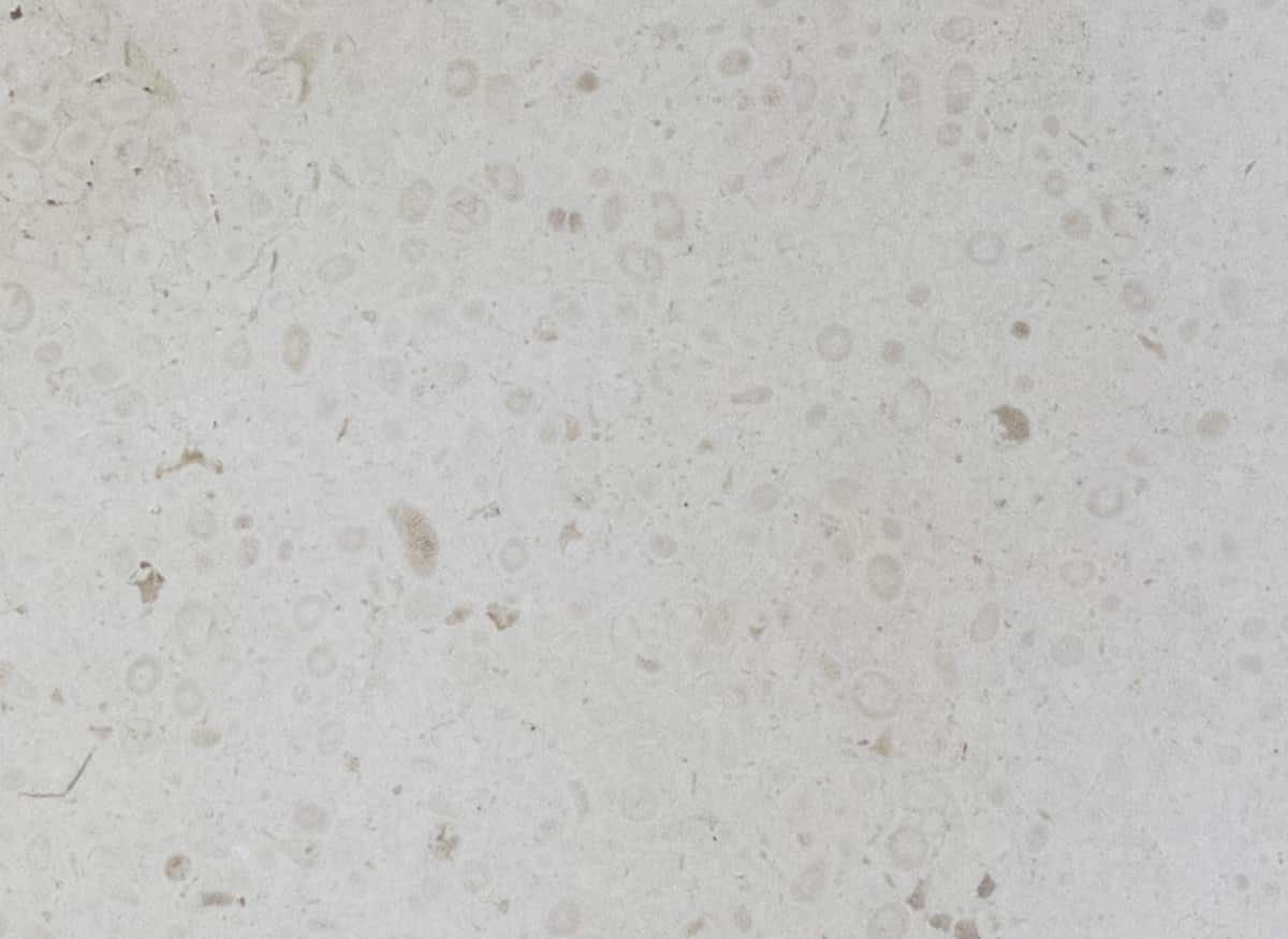 Подвесной прямоугольный умывальник COCOON Piet Boon ARCH-00142607 - Вид №13