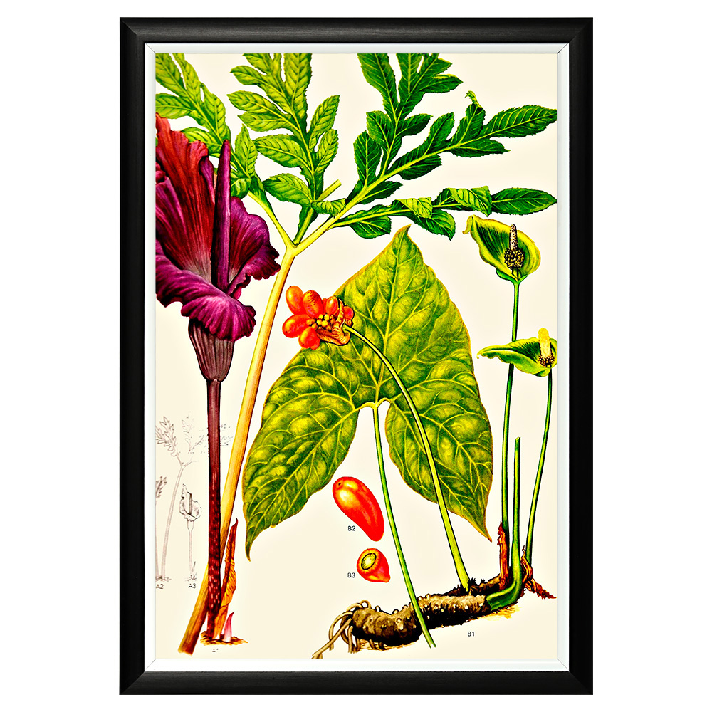 896519639_1818 Арт-постер «Цветочная энциклопедия, глава 2» Object Desire 