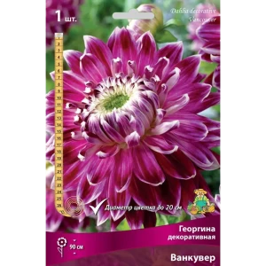 Георгина декоративная Ванкувер луковица I 83593756 STLM-2181839