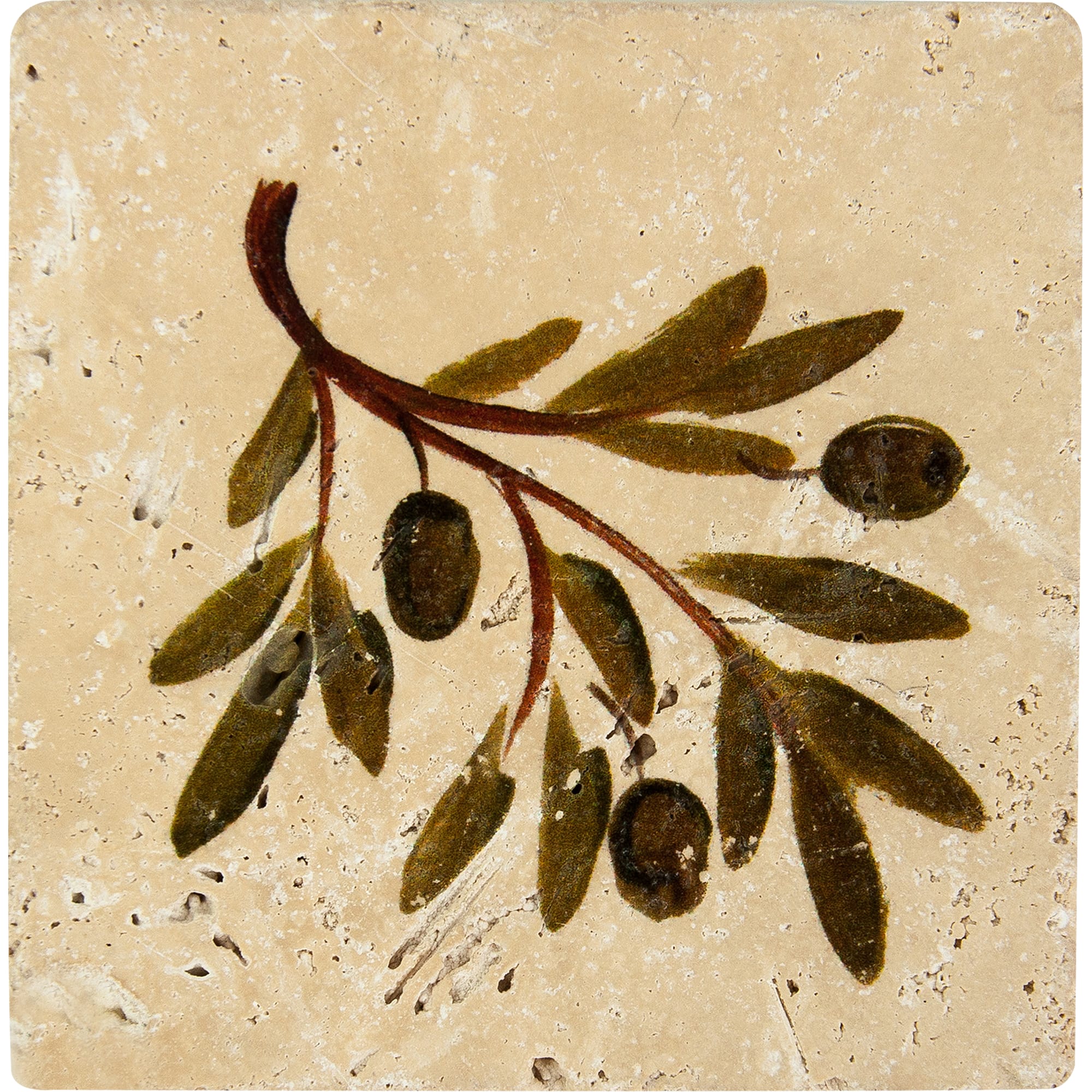 16993385 Декор Provance Оливки 4 10х10 см Травертин Provance Santreyd 