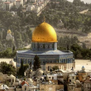 WP02552 Фотообои Verol Фотообои decoline 1х1 м