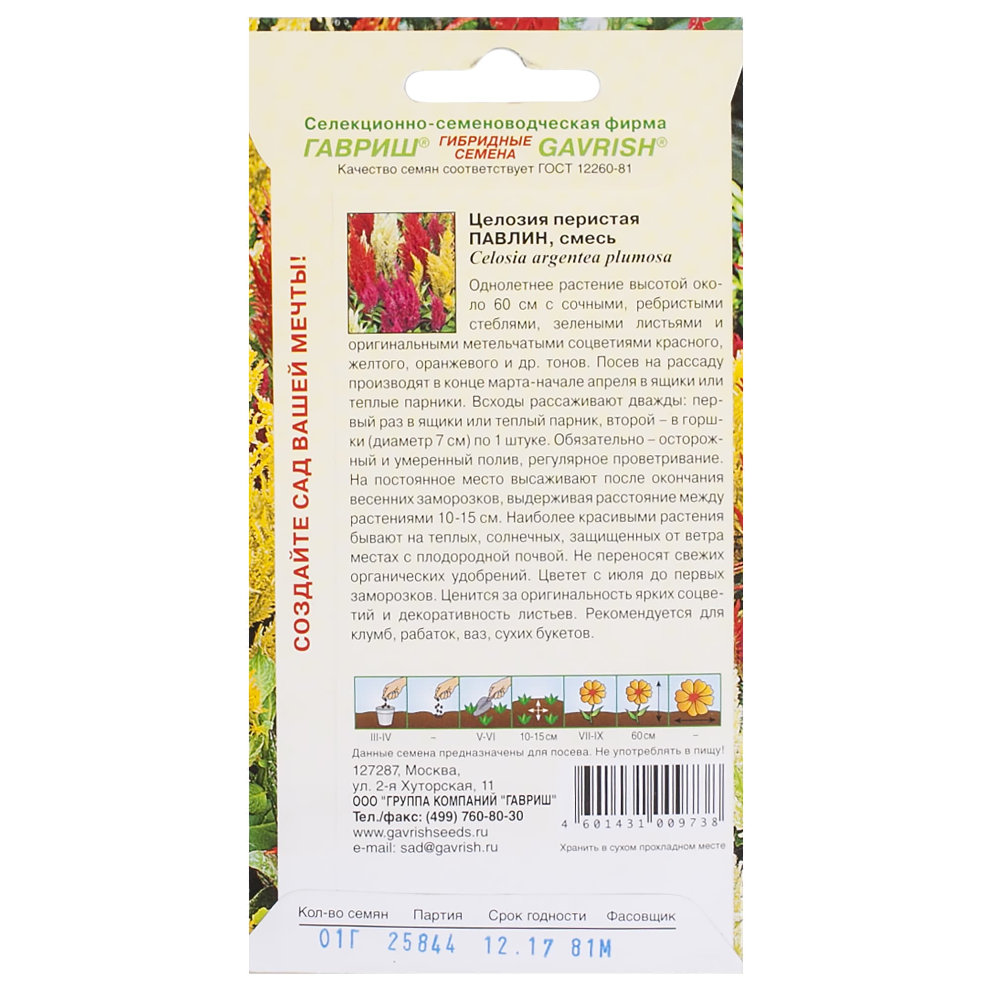 17265283 Целозия перистая «Павлин» Santreyd  - Вид №1