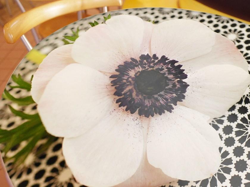 LEGNOPAN Пол / стена sun-id-1394475 - Вид №1