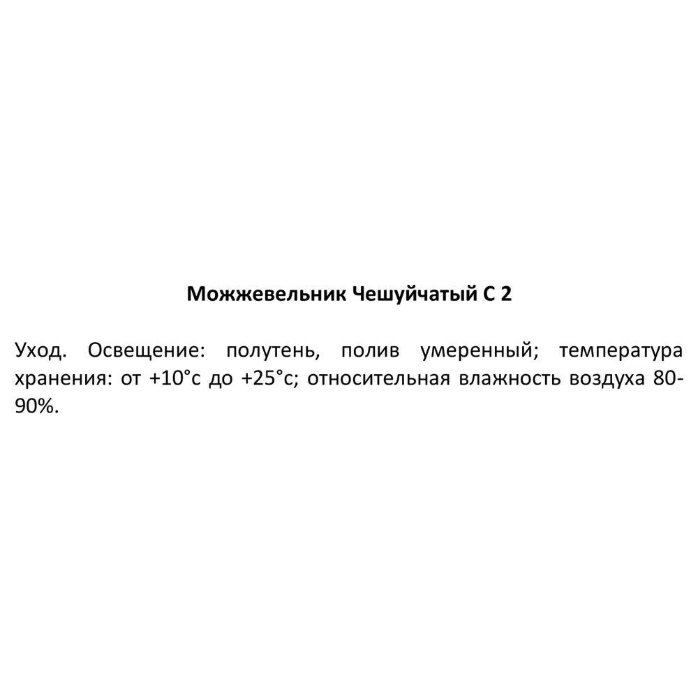 Можжевельник чешуйчатый ø17 h30 см 84429214 STLM-2045210 Santreyd  - Вид №2