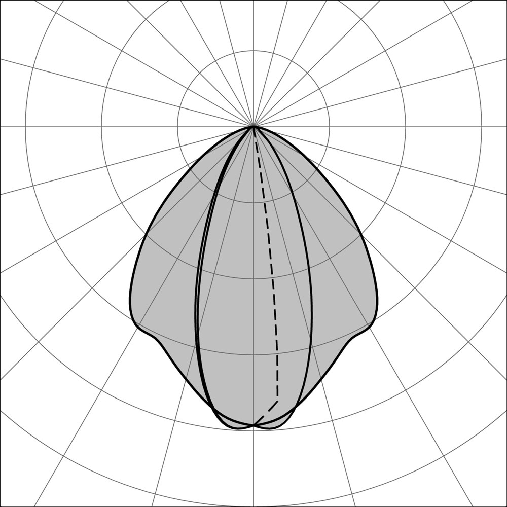 Compatto P 500 Ghidini Compatto P .05 Темно-Cерый (Матовый)  - Вид №3