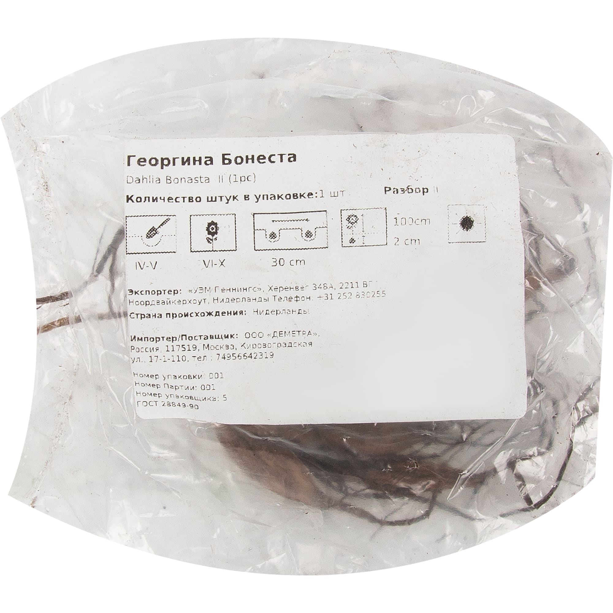 83760965 Георгина Бонеста луковица II Santreyd  - Вид №1