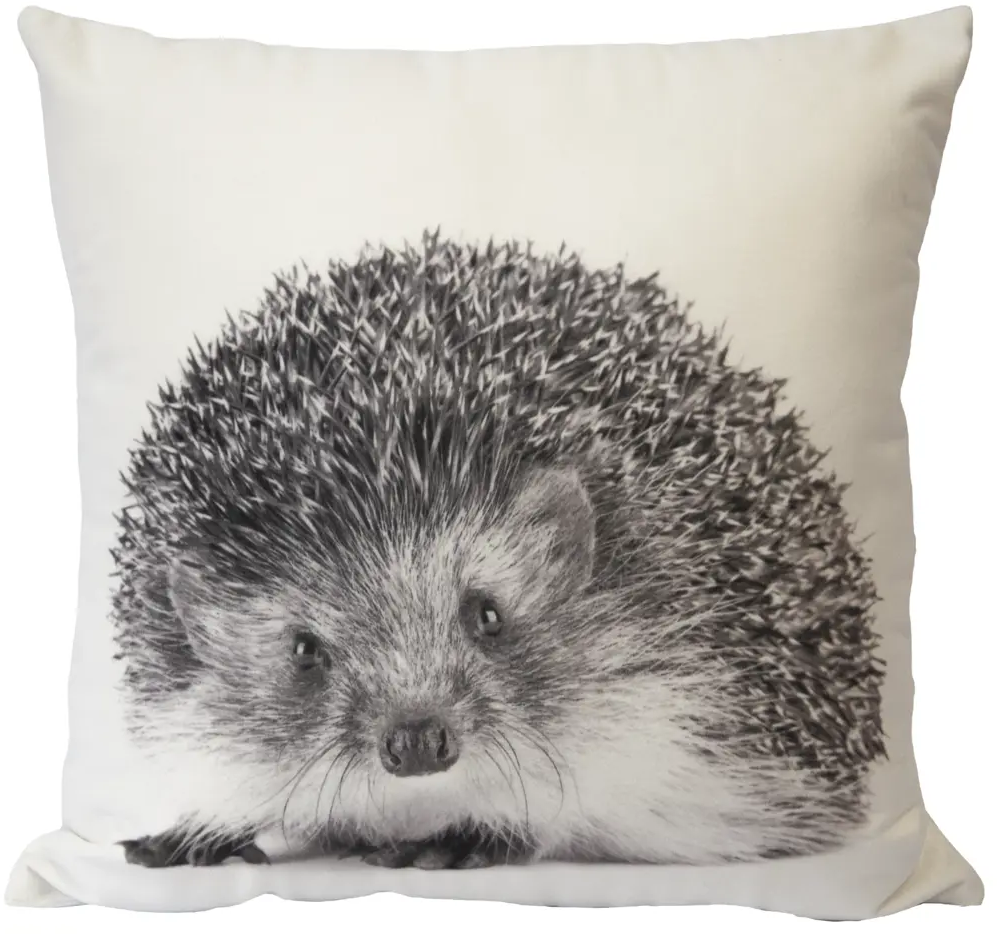 SEASONS Подушка Еж: бархатный акцент для вашего интерьера 83982047