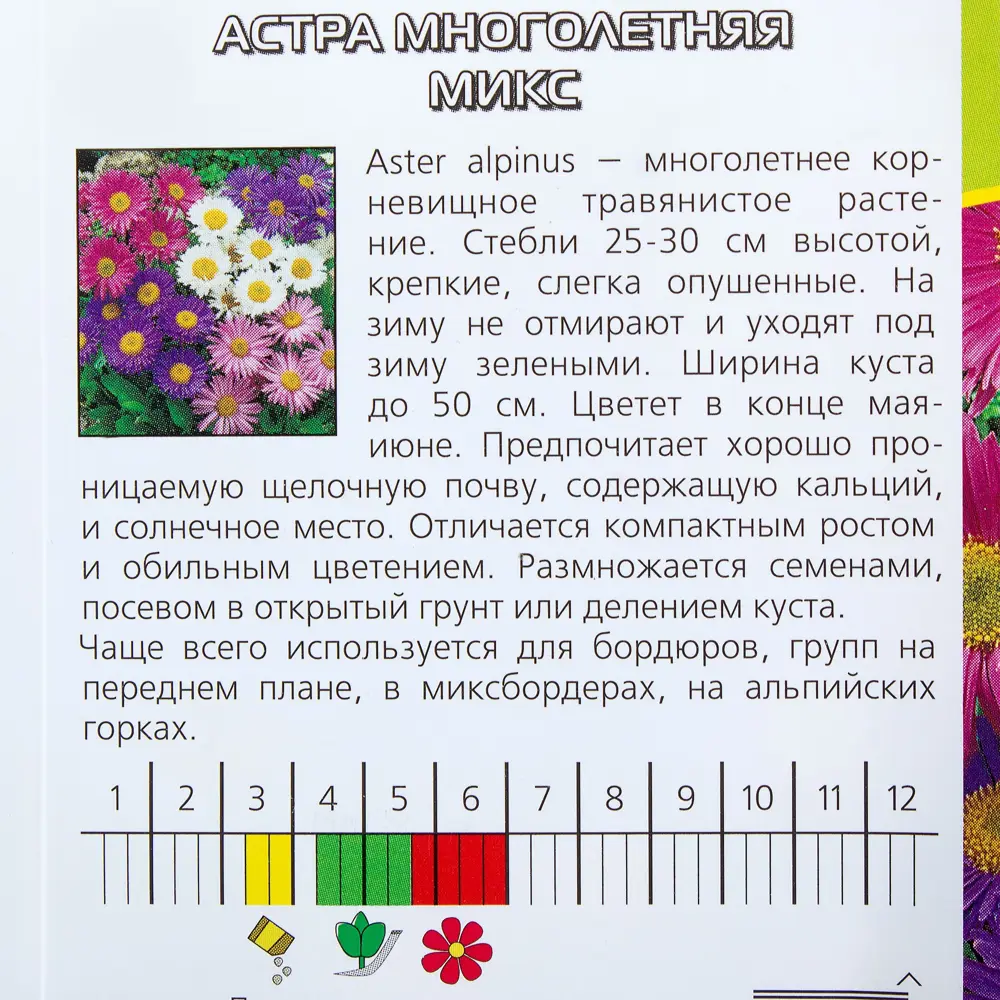 Семена цветов Астра многолетняя микс смесь окрасок Agroni 13068151 STLM-2029256  - Вид №2