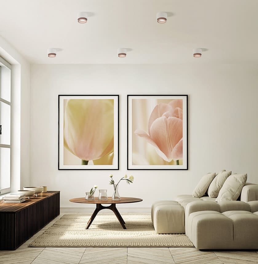 Гипсовый потолочный светильник Tecnico SYME TONDA ARCH-00101564 - Вид №8