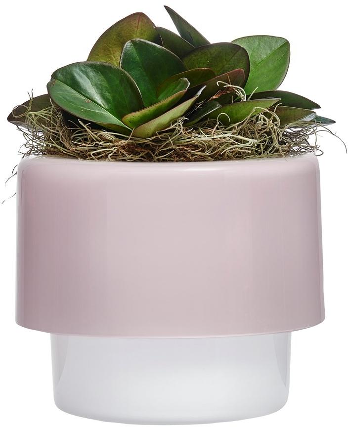 NUDE Хрустальная ваза Roots sun-id-1366276 - Вид №1