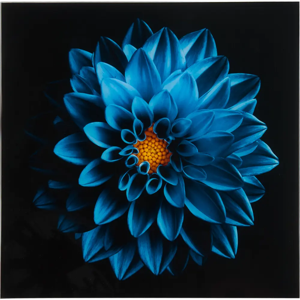 Картина на стекле Синий цветок 30x30 см 82402188 STLM-2177219 Santreyd 
