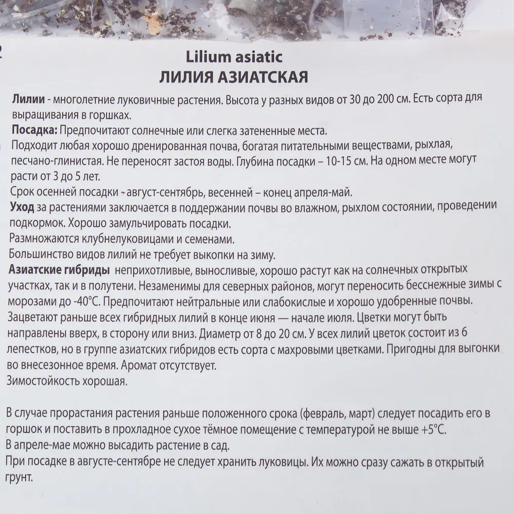 Лилия азиатская Детройт 14/16, 1 шт 81945450 STLM-2065751 Santreyd  - Вид №2