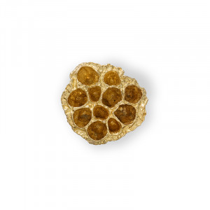 EA1022 Comb PULLCAST Earth Collection