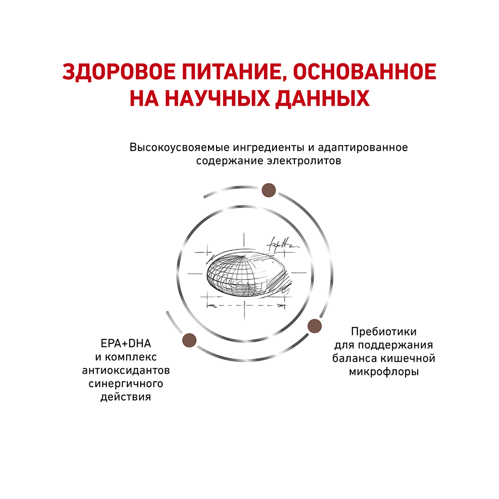 Т0055688 Корм для собак Vet Diet Gastro Intestinal GI25 при нарушениях пищеварения, птица сух. 2кг ROYAL CANIN  - Вид №3