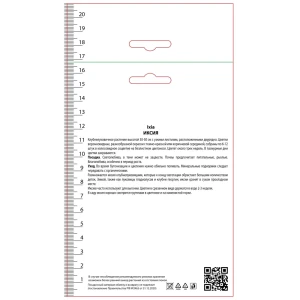 Иксия гибридная Мейбл, 10 шт
