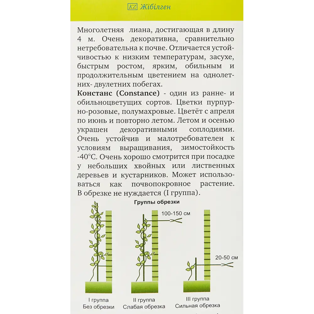 Клематис Констанс ø9 h39 см 83738686 STLM-2183428 Santreyd  - Вид №2