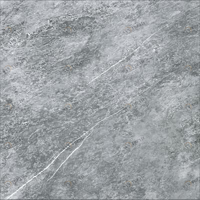 Граните Стоун Савойи серебро полированная 599x599 Керамика Будущего sun-id-324025