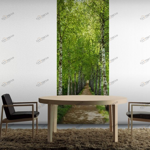 2-1717-Birkenallee Фотообои Komar Scenics Edition 2 2.20х0.92 м 21717BIRKENALLEE
