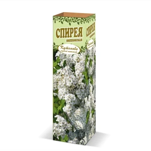 Спирея ниппонская «Флечен Фуллер» в коробке 82155634 STLM-2141698