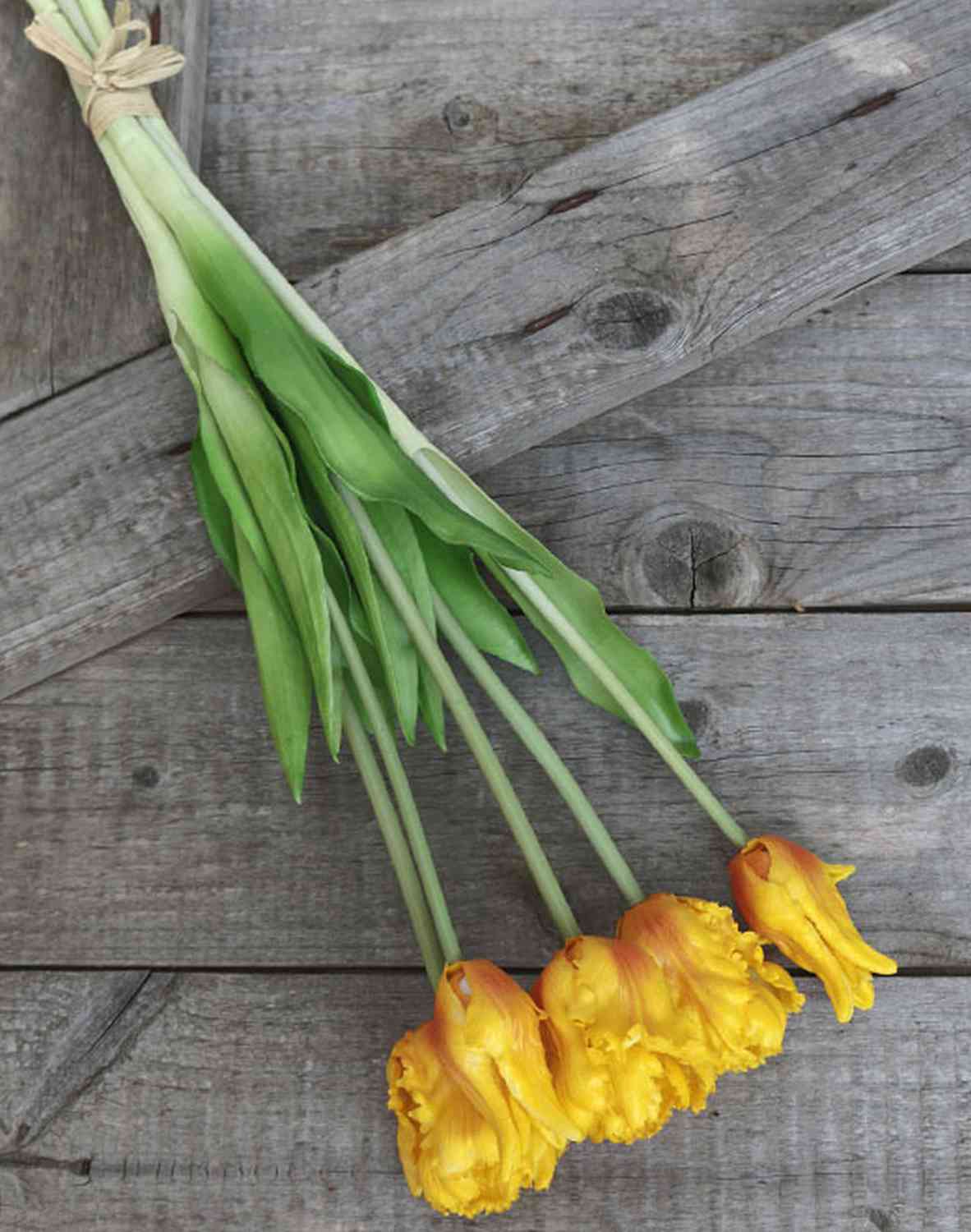 2951 334 a3 Искусственный попугай букет тюльпанов, 5-кратный, 47 см, оранжевый H-andreas 