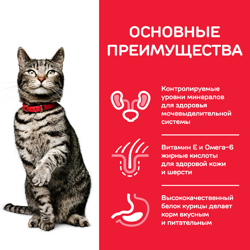 ПР0047829 Корм для кошек Hill"s Science Plan Urinary Health Sterilised Cat корм для стерилизованных кошек, курица 300г Hill's  - Вид №3