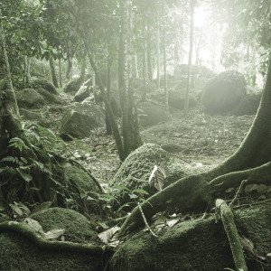 0794/CX38 Картина 0794 Adriani e Rossi