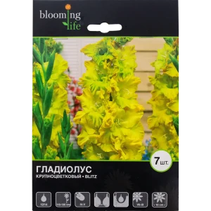 Гладиолус крупноцветковый Блиц 12/14, 7 шт 81945902 STLM-2121743