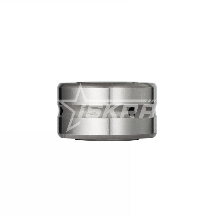 IS1624 Подшипник NA4901-2RS ISKRA  - Вид №6