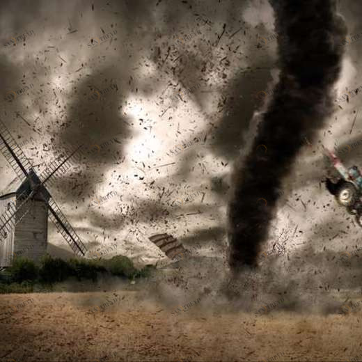 WP02397 Фотообои Verol Фотообои decoline 1х1 м