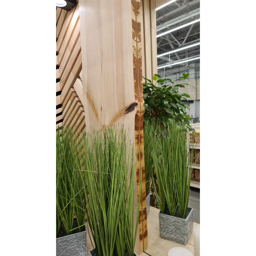 АРЕЛАН Слэб из массива сосны для дизайнерского интерьера 82004823 STLM-0016991 - Вид №3