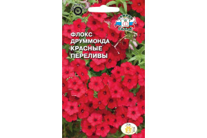 18409561 Семена Флокс Красные переливы 00000017153 СеДек