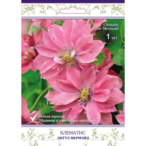 Клематис крупноцветковый Литтл Мермейд h15 см 83431368 STLM-2114393