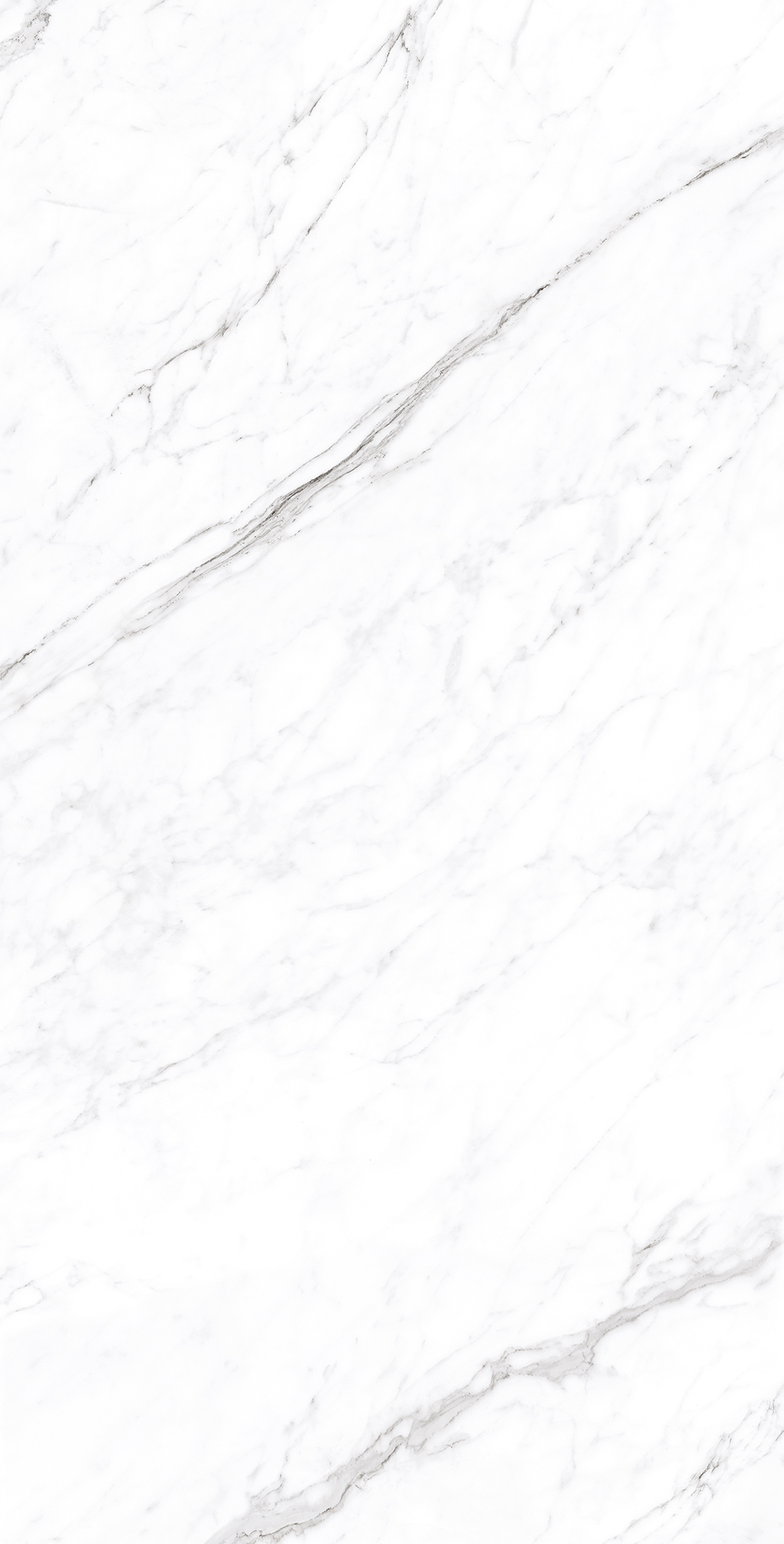 Керамогранит CORALINA WHITE 60х120 Creanza CP4003-A - Вид №3