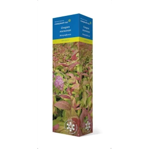 Спирея японская Макрофилла h37 см 83786921 STLM-2087692