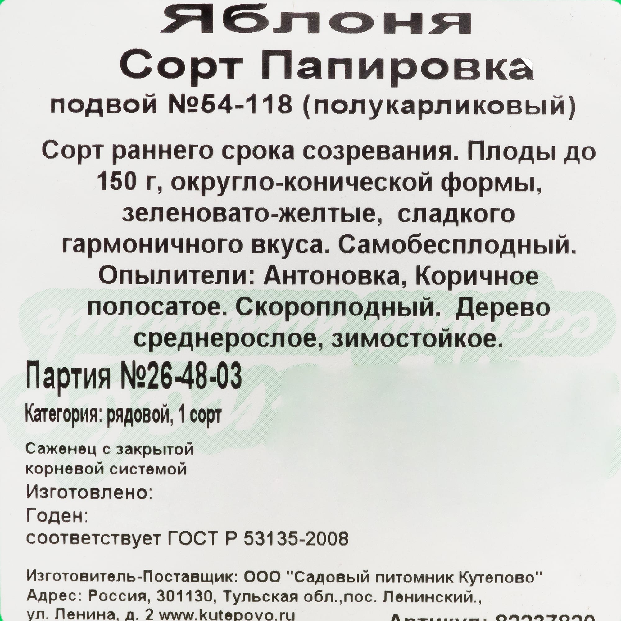 82237820 Яблоня «Папировка» С7 120-180 см Santreyd  - Вид №2