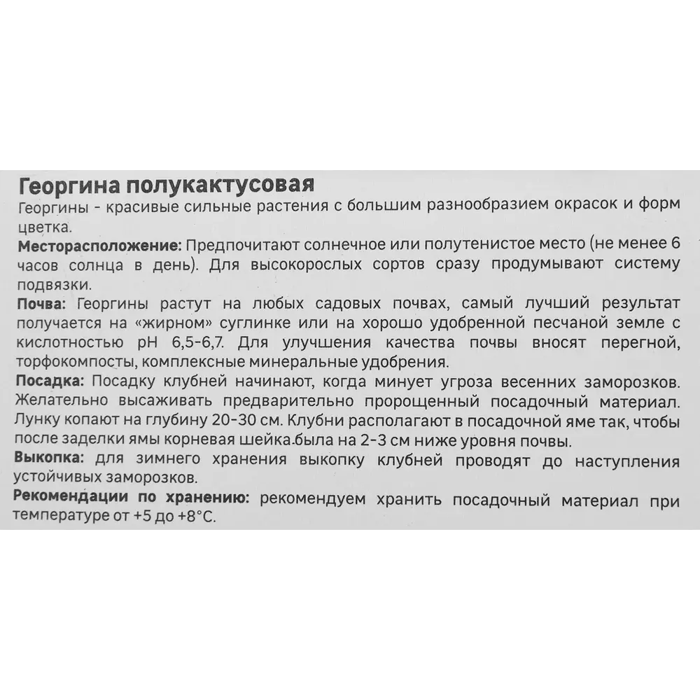 Георгина полукактусовая Кеннемерланд 86408565 STLM-2150175 Santreyd  - Вид №3